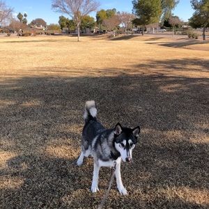 Meet your Posher, Ulises